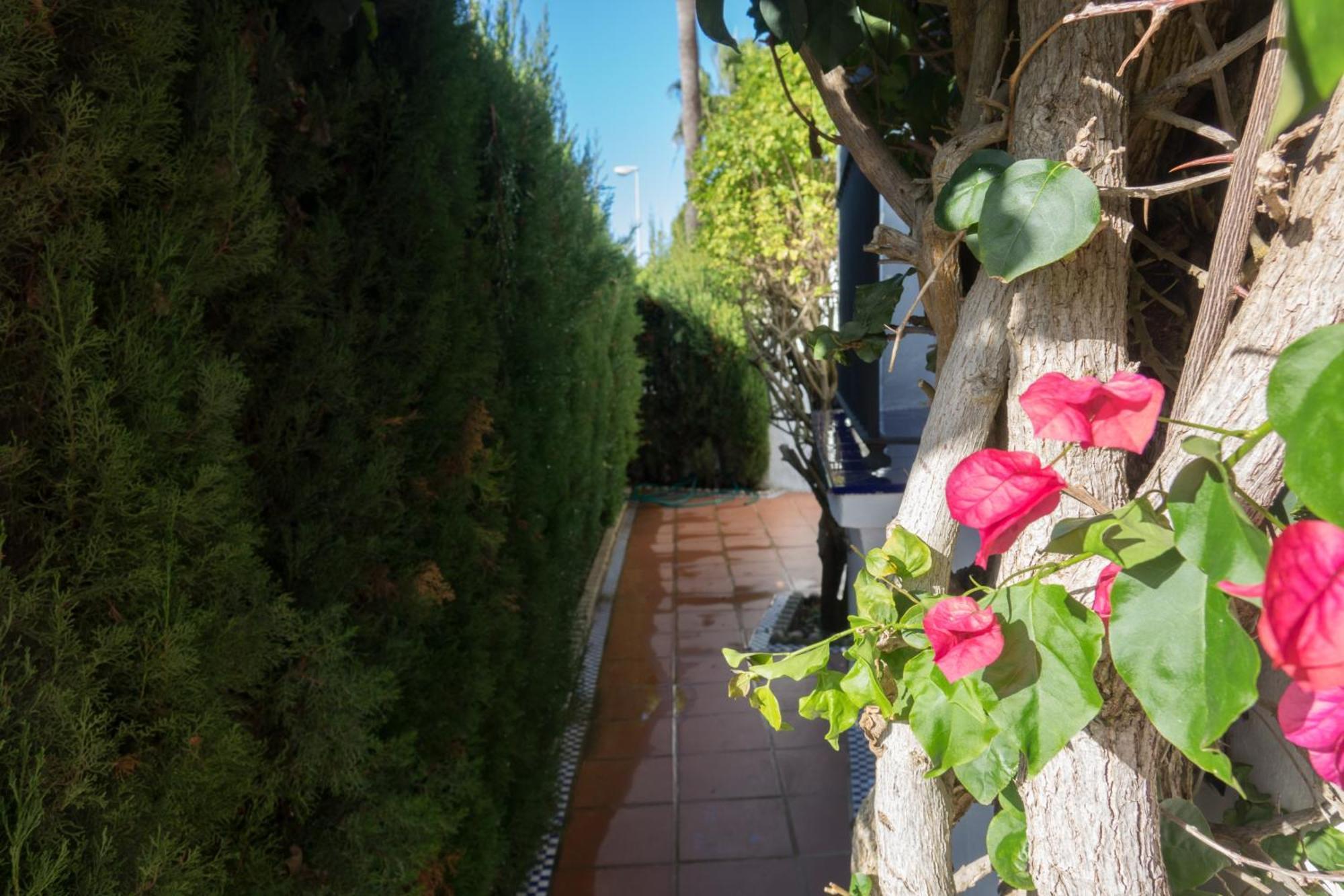 Apartamento Alextia La Barrosa Чиклана де ла Фронтера Екстериор снимка